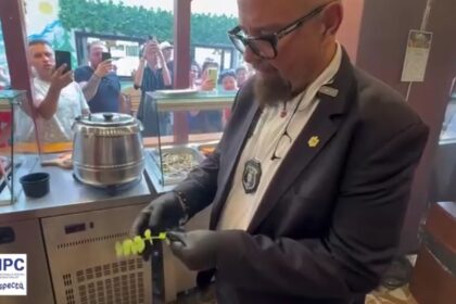 VIDEO ANPC a suspendat activitatea a 9 localuri de pe litoral din cauza gândacilor, mizeriei și alimentelor alterate piedone