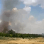 FOTO VIDEO Pericol! Arde vegetația uscată de pe islazul localității Castelu rr 3