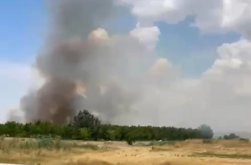 FOTO VIDEO Pericol! Arde vegetația uscată de pe islazul localității Castelu rr 3