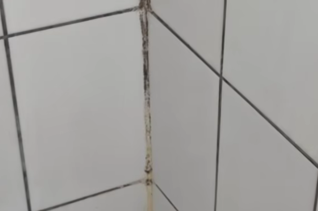 FOTO VIDEO ANPC a găsit dezastru pe litoral/ Mâncare expirată, mucegai, frigidere nefuncționale 2 FOTO VIDEO ANPC a găsit dezastru pe litoral/ Mâncare expirată, mucegai, frigidere nefuncționale sss