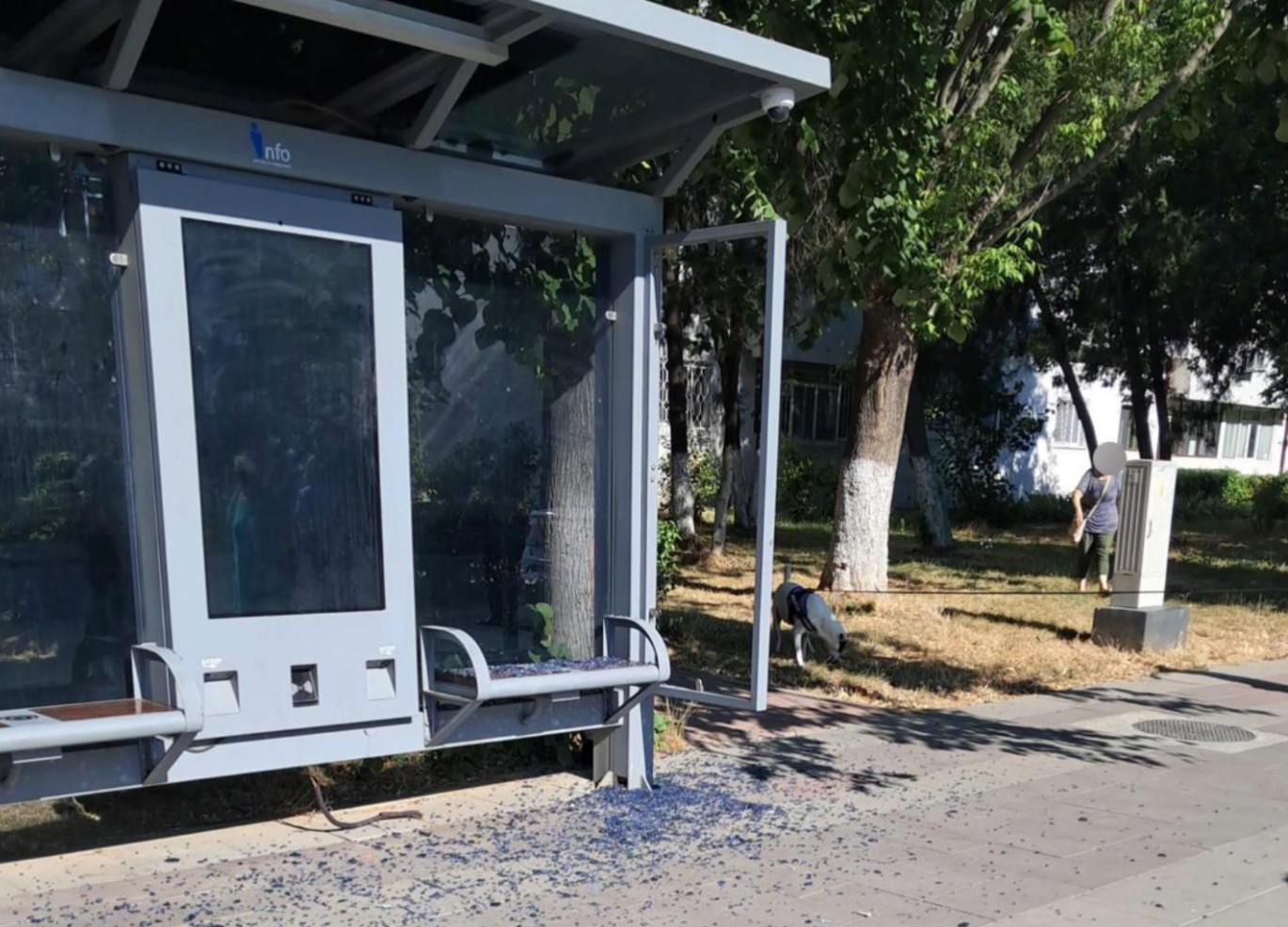 VIDEO Stație de autobuz vandalizată pe bulevardul Alexandru Lăpușneanu/ Autorul a fost prins în flagrant de Poliția Locală statie